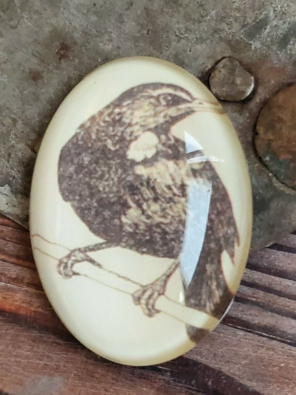 Edgar Allan Poe The Raven Victorian Gothic Bird Glass Oval Cabochon 40x30mm - Picture 10 of 10